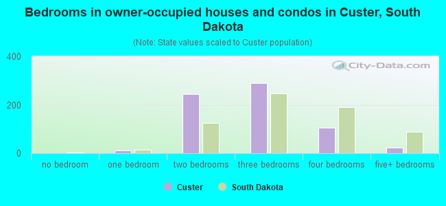 Bedrooms in owner-occupied houses and condos in Custer, South Dakota