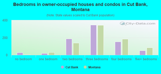 Bedrooms in owner-occupied houses and condos in Cut Bank, Montana