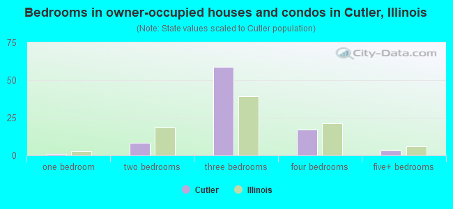 Bedrooms in owner-occupied houses and condos in Cutler, Illinois