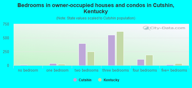 Bedrooms in owner-occupied houses and condos in Cutshin, Kentucky