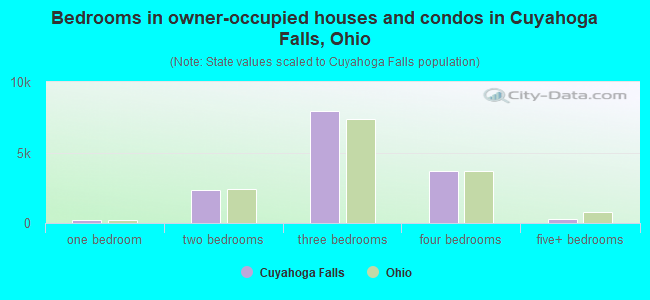 Bedrooms in owner-occupied houses and condos in Cuyahoga Falls, Ohio