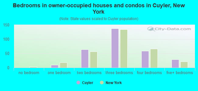 Bedrooms in owner-occupied houses and condos in Cuyler, New York