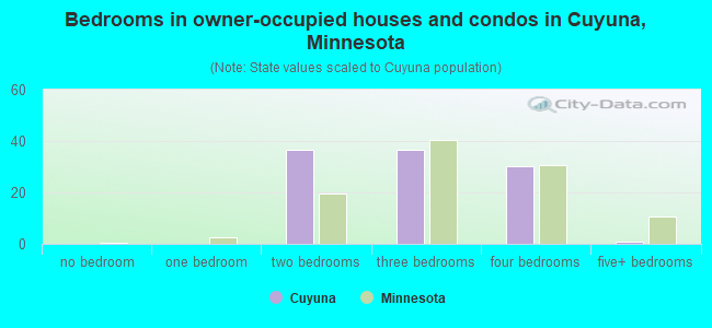 Bedrooms in owner-occupied houses and condos in Cuyuna, Minnesota