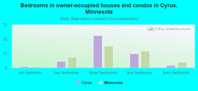 Bedrooms in owner-occupied houses and condos in Cyrus, Minnesota