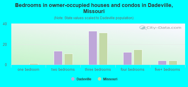 Bedrooms in owner-occupied houses and condos in Dadeville, Missouri