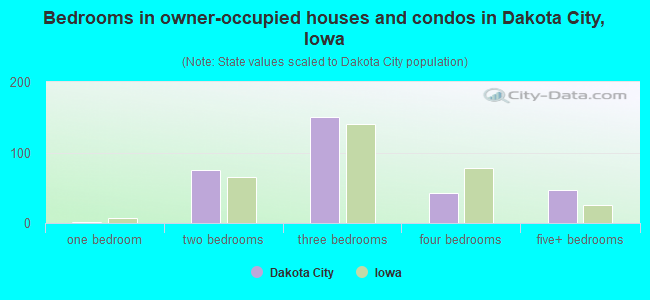 Bedrooms in owner-occupied houses and condos in Dakota City, Iowa