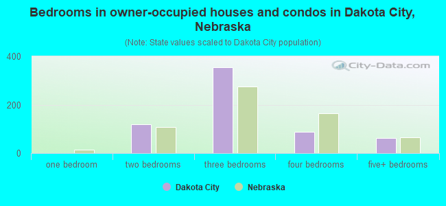 Bedrooms in owner-occupied houses and condos in Dakota City, Nebraska