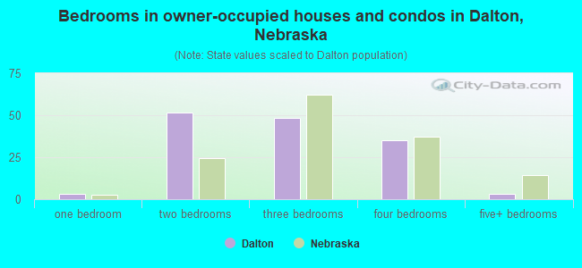 Bedrooms in owner-occupied houses and condos in Dalton, Nebraska