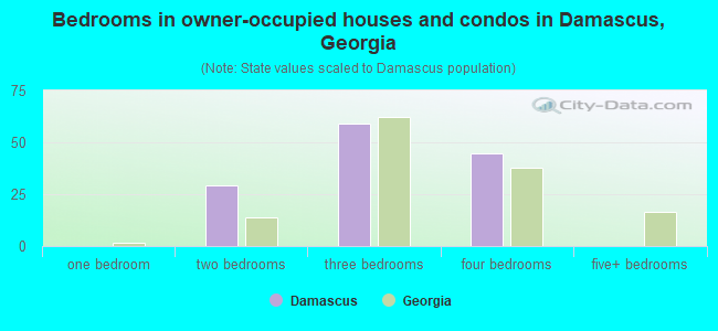 Bedrooms in owner-occupied houses and condos in Damascus, Georgia