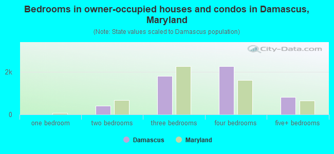 Bedrooms in owner-occupied houses and condos in Damascus, Maryland
