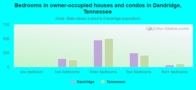 Bedrooms in owner-occupied houses and condos in Dandridge, Tennessee