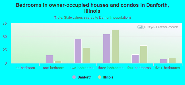 Bedrooms in owner-occupied houses and condos in Danforth, Illinois