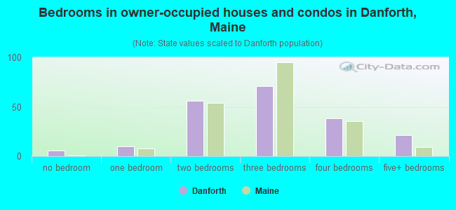 Bedrooms in owner-occupied houses and condos in Danforth, Maine