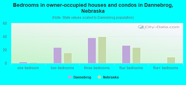Bedrooms in owner-occupied houses and condos in Dannebrog, Nebraska