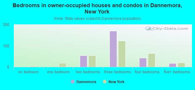 Bedrooms in owner-occupied houses and condos in Dannemora, New York