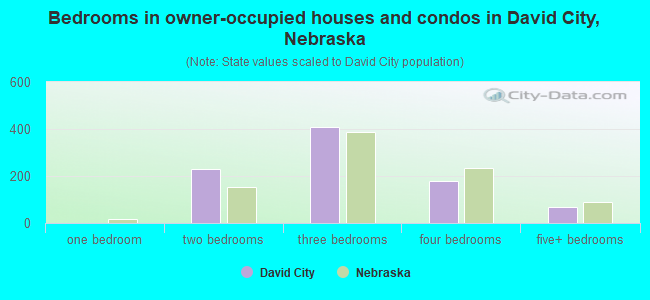 Bedrooms in owner-occupied houses and condos in David City, Nebraska