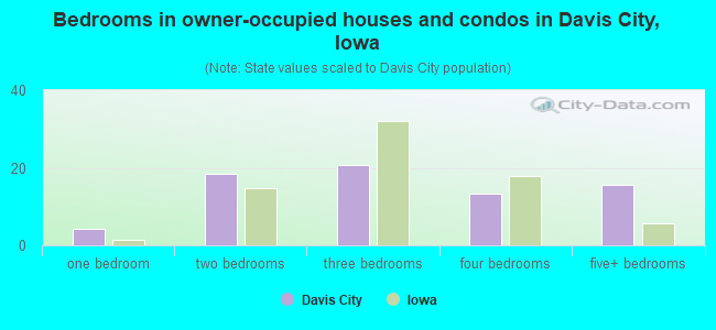 Bedrooms in owner-occupied houses and condos in Davis City, Iowa