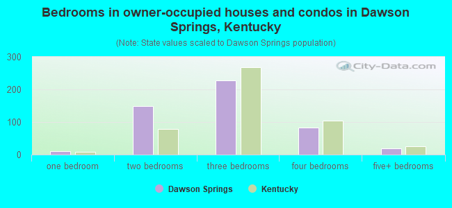 Bedrooms in owner-occupied houses and condos in Dawson Springs, Kentucky