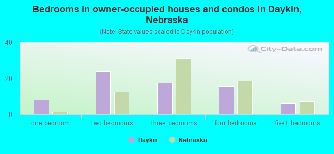 Bedrooms in owner-occupied houses and condos in Daykin, Nebraska