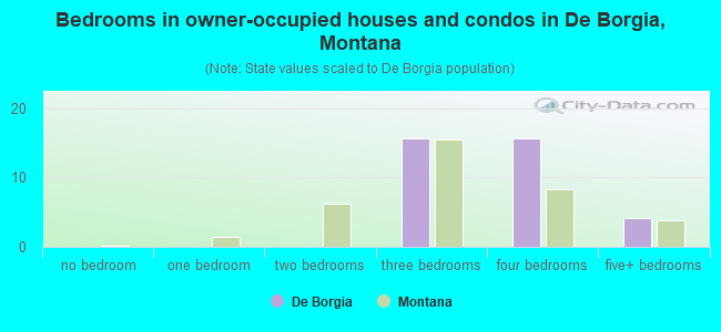 Bedrooms in owner-occupied houses and condos in De Borgia, Montana