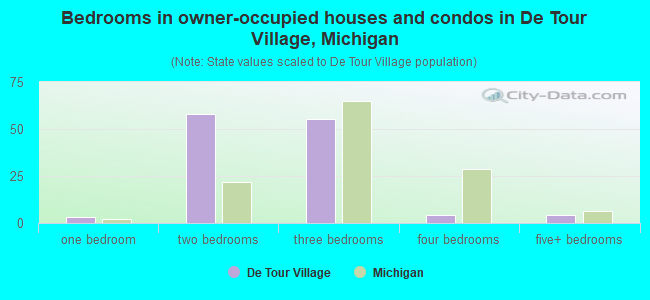 Bedrooms in owner-occupied houses and condos in De Tour Village, Michigan