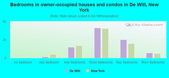 Bedrooms in owner-occupied houses and condos in De Witt, New York