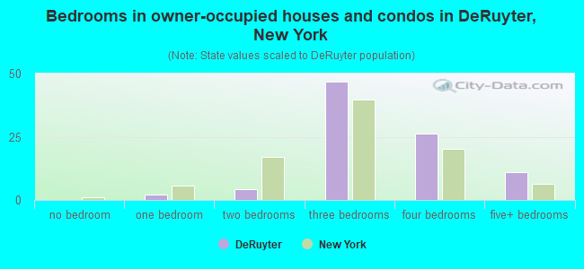 Bedrooms in owner-occupied houses and condos in DeRuyter, New York