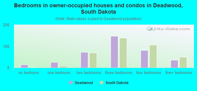 Bedrooms in owner-occupied houses and condos in Deadwood, South Dakota