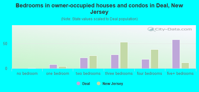 Bedrooms in owner-occupied houses and condos in Deal, New Jersey