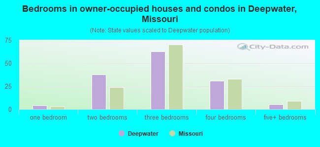 Bedrooms in owner-occupied houses and condos in Deepwater, Missouri