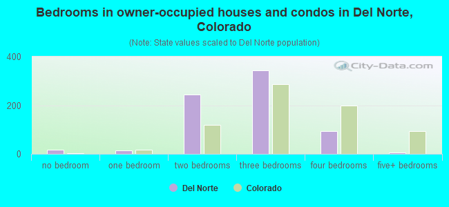 Bedrooms in owner-occupied houses and condos in Del Norte, Colorado