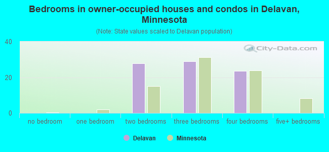 Bedrooms in owner-occupied houses and condos in Delavan, Minnesota