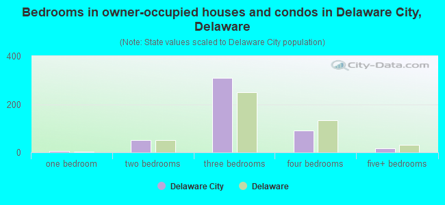Bedrooms in owner-occupied houses and condos in Delaware City, Delaware