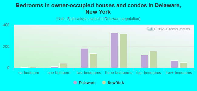 Bedrooms in owner-occupied houses and condos in Delaware, New York