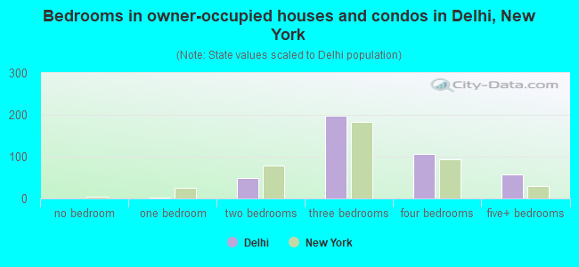 Bedrooms in owner-occupied houses and condos in Delhi, New York