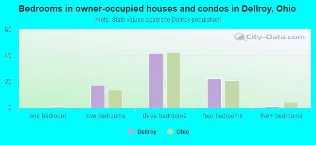Bedrooms in owner-occupied houses and condos in Dellroy, Ohio