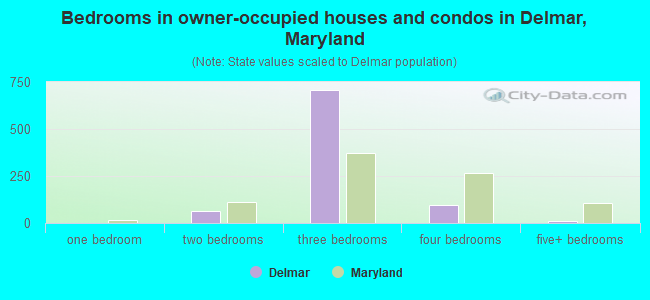 Bedrooms in owner-occupied houses and condos in Delmar, Maryland