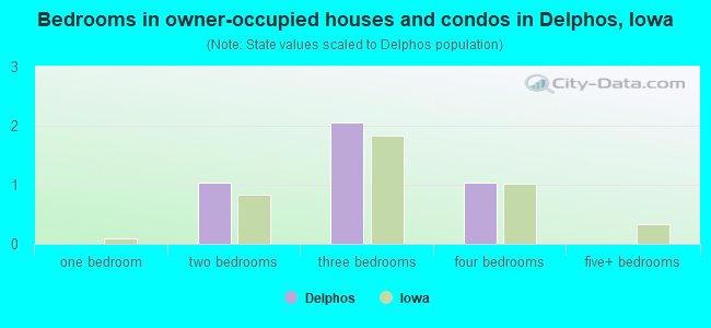 Bedrooms in owner-occupied houses and condos in Delphos, Iowa