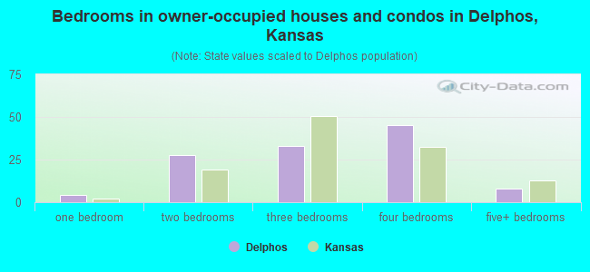 Bedrooms in owner-occupied houses and condos in Delphos, Kansas