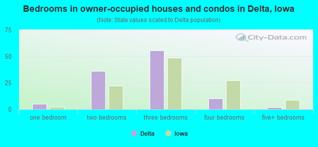Bedrooms in owner-occupied houses and condos in Delta, Iowa