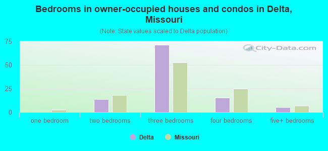 Bedrooms in owner-occupied houses and condos in Delta, Missouri
