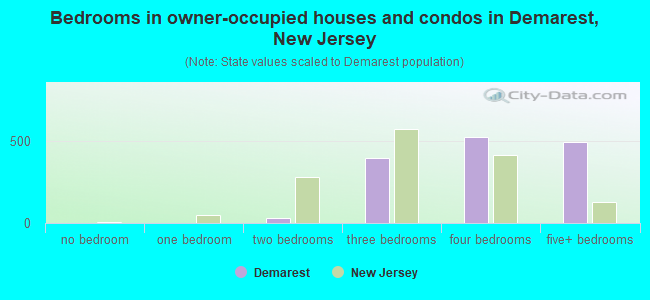 Bedrooms in owner-occupied houses and condos in Demarest, New Jersey