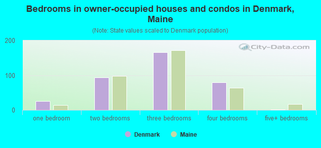 Bedrooms in owner-occupied houses and condos in Denmark, Maine