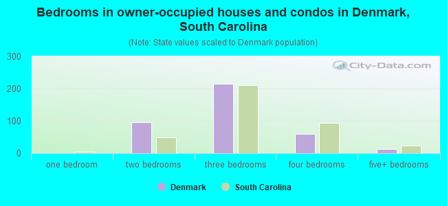 Bedrooms in owner-occupied houses and condos in Denmark, South Carolina