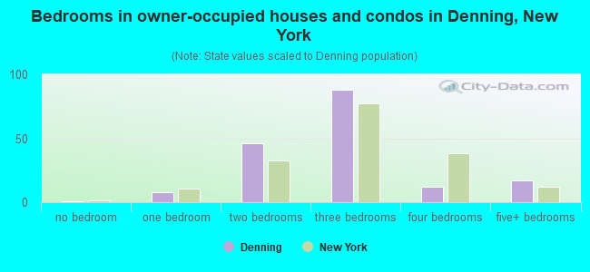 Bedrooms in owner-occupied houses and condos in Denning, New York