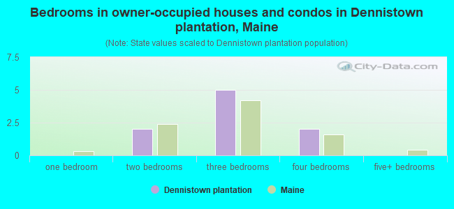Bedrooms in owner-occupied houses and condos in Dennistown plantation, Maine
