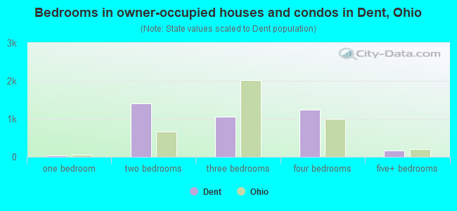 Bedrooms in owner-occupied houses and condos in Dent, Ohio