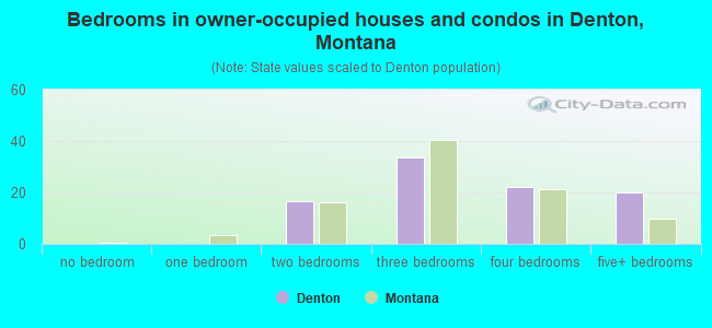 Bedrooms in owner-occupied houses and condos in Denton, Montana