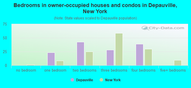 Bedrooms in owner-occupied houses and condos in Depauville, New York