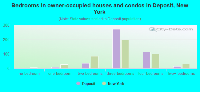 Bedrooms in owner-occupied houses and condos in Deposit, New York